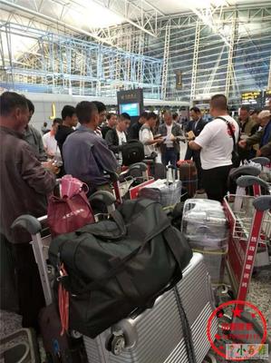 齐齐哈尔赴新西兰劳务派遣 瓦工、电工与工厂工人的机遇与路径