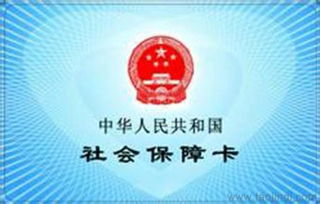 解析企业人力服务 社保挂靠、代理派遣与生育保险全指南